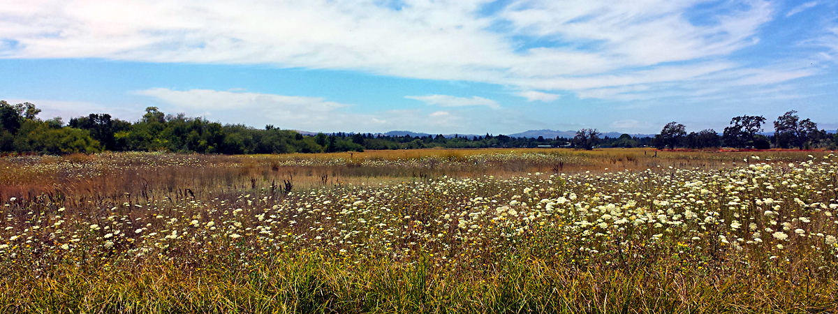 Preserve our Scenic Corridors
